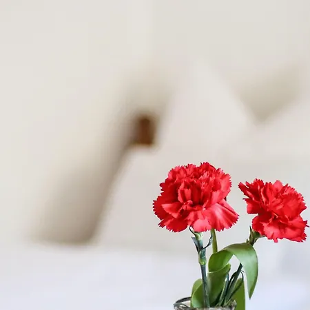 Chalet Vordermitterast Kirchberg in Tirol