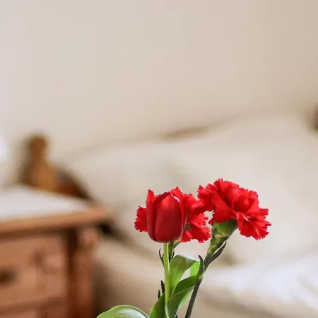 Vordermitterast Alpstuga *