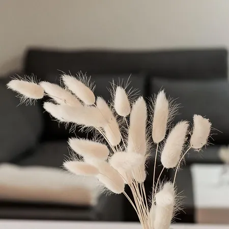 Vordermitterast Alpstuga