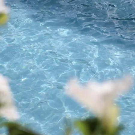 Vordermitterast Kirchberg in Tirol