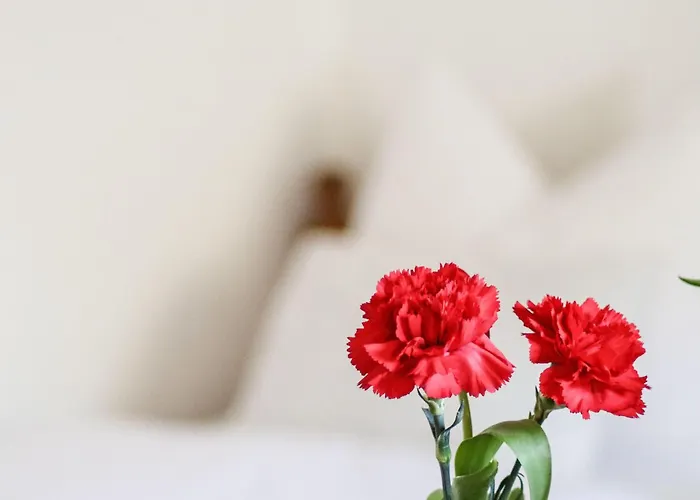 Chalet Vordermitterast Kirchberg en Tyrol