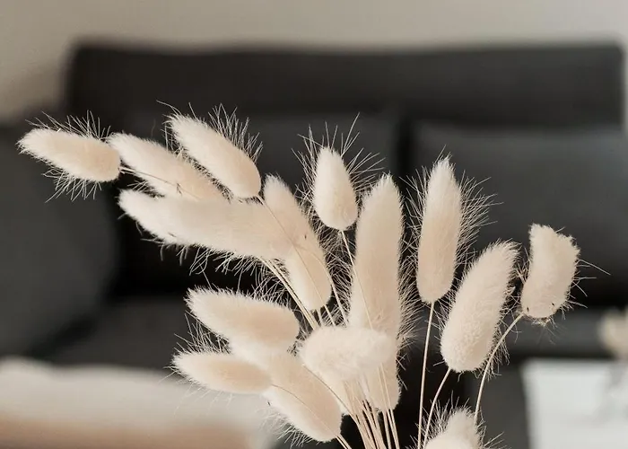 Vordermitterast Chalet